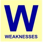 Weaknesses of the Swot-analysis